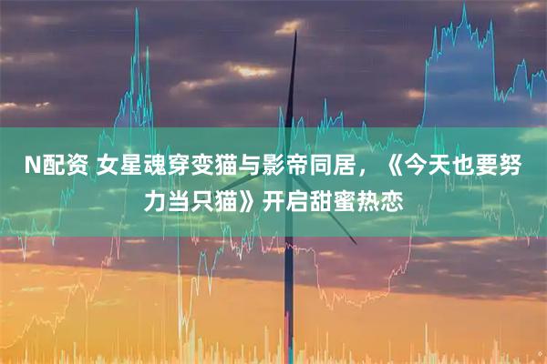 N配资 女星魂穿变猫与影帝同居，《今天也要努力当只猫》开启甜蜜热恋