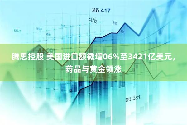 腾思控股 美国进口额微增06%至3421亿美元，药品与黄金领涨
