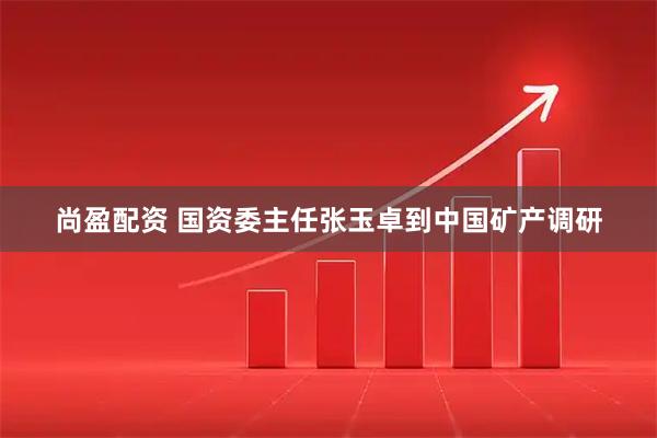 尚盈配资 国资委主任张玉卓到中国矿产调研